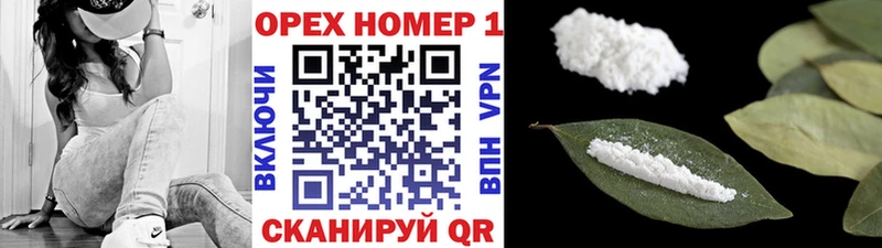 Cocaine FishScale  Купить закладки  Губаха 