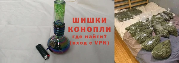 PSILOCYBIN Киренск