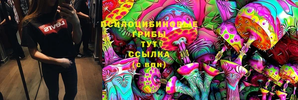 гидра Кинешма