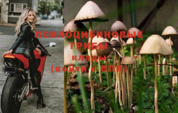 гидра Кинешма