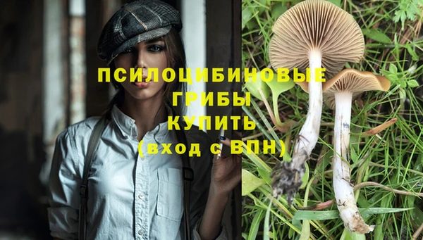 PSILOCYBIN Киренск