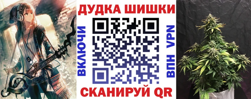 Бошки Шишки планчик  Купить закладки  Губаха 